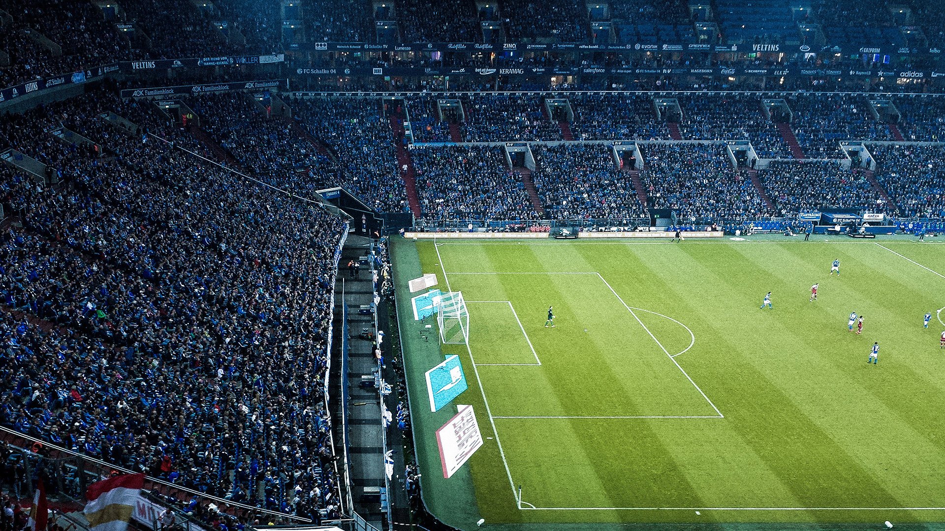 开云体育官网-多元赛场,同一心跳